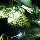 Illustration for article titled Stasis manages to horrify despite its adventure-game limitations